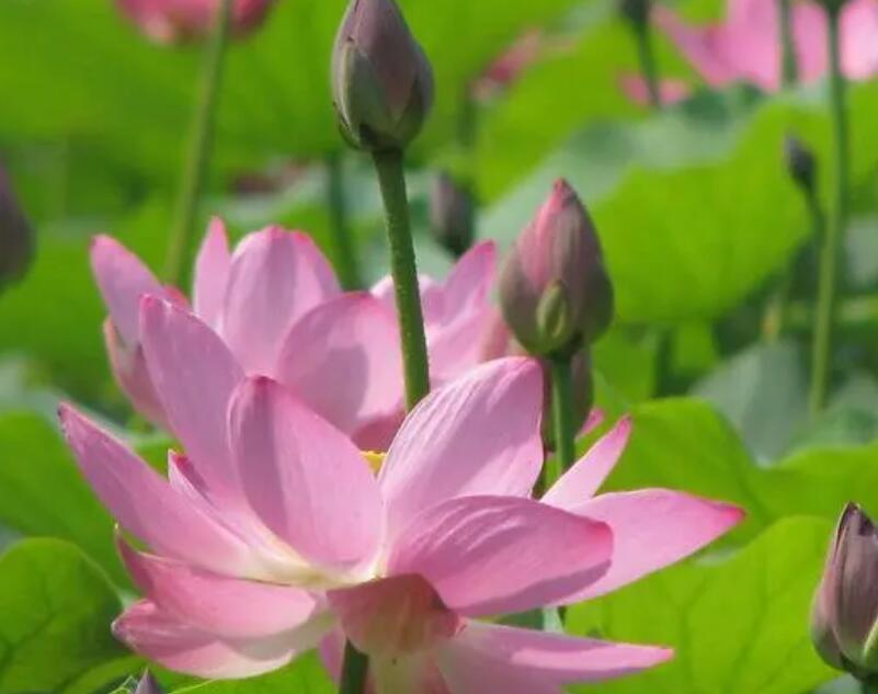 1648273827963006.jpg 1648273827963006.jpg