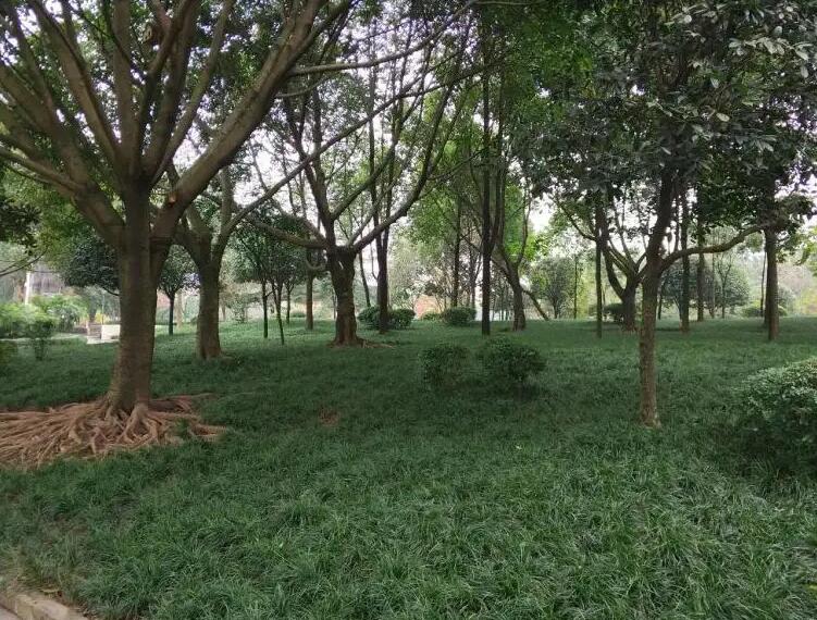 1649297833321887.jpg 1649297833321887.jpg