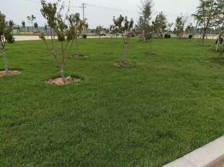 1649297833599277.jpg 1649297833599277.jpg