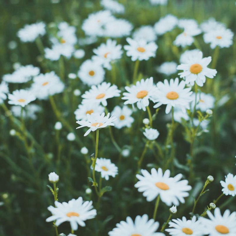 1649322007114079.jpg 1649322007114079.jpg