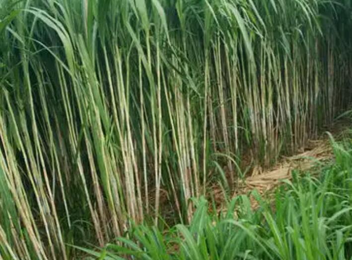 1649915620936022.jpg 2.jpg