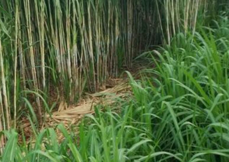 1649916811531015.jpg 2.jpg