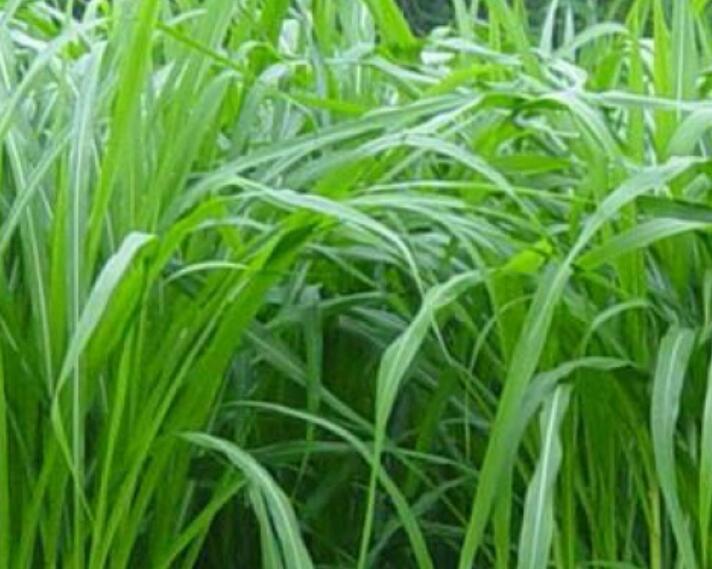 1649918303241329.jpg 3.jpg