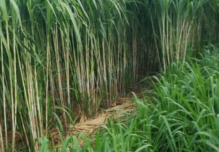 1649942774947477.jpg 1.jpg