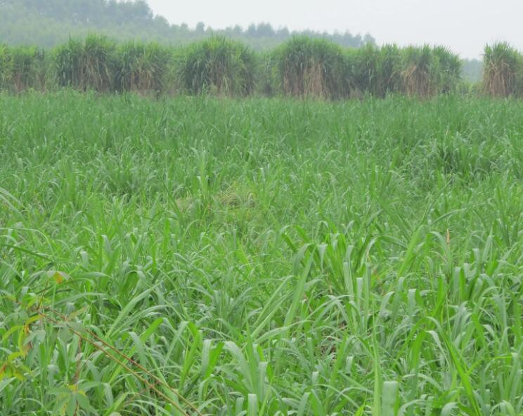 1650018977856770.jpg 3.jpg