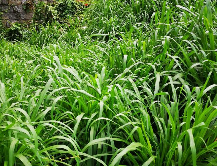 1650121109153794.jpg 2.jpg