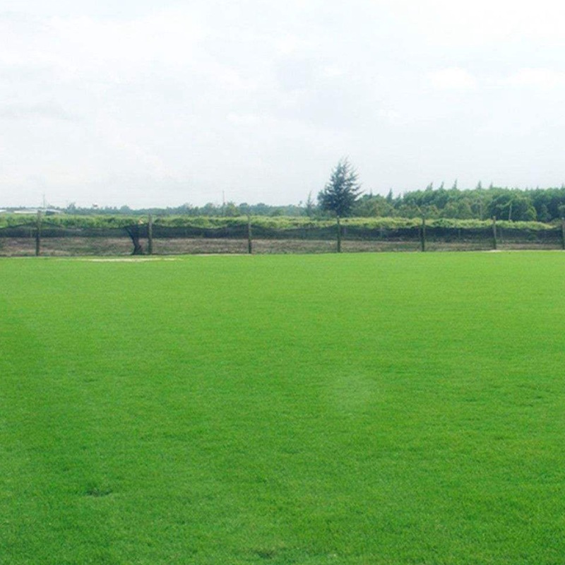 1650196189243538.jpg 1650196189243538.jpg