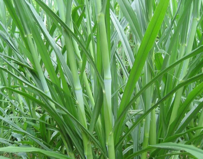 1650201038881016.jpg 1650201038881016.jpg