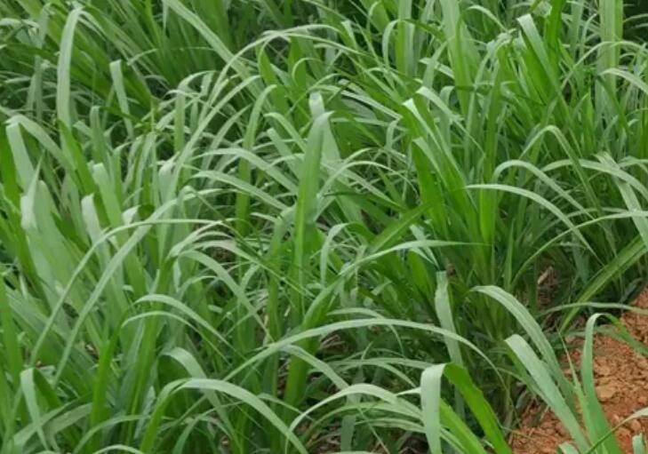 1650257632633406.jpg 2.jpg