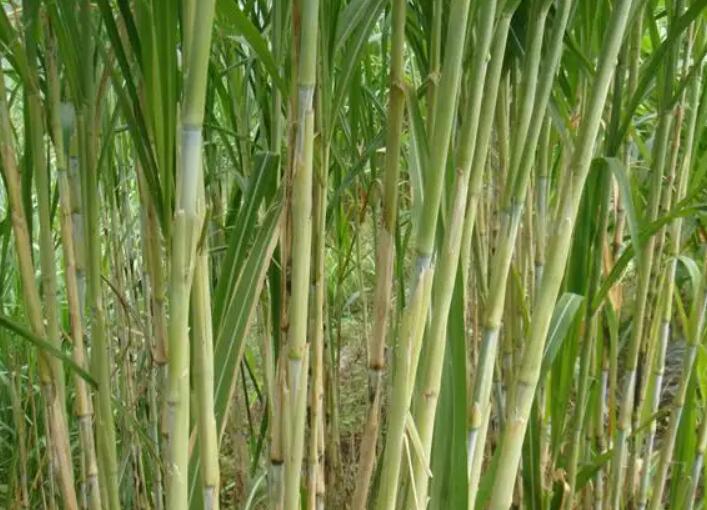 1650257641707860.jpg 3.jpg