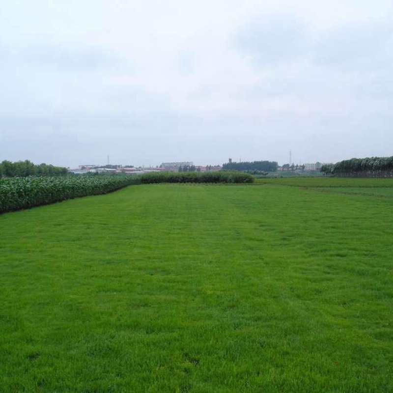 1650260291609650.jpg 1650260291609650.jpg