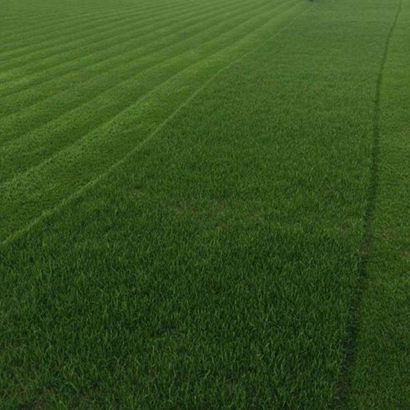 1650286094137886.jpg 1650286094137886.jpg