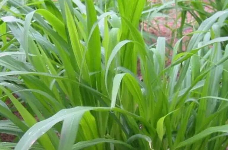 1650512287370578.jpg 1.jpg