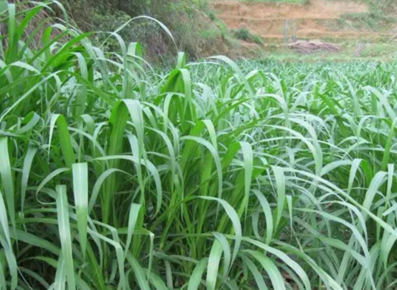 1650513984250013.jpg 1.jpg