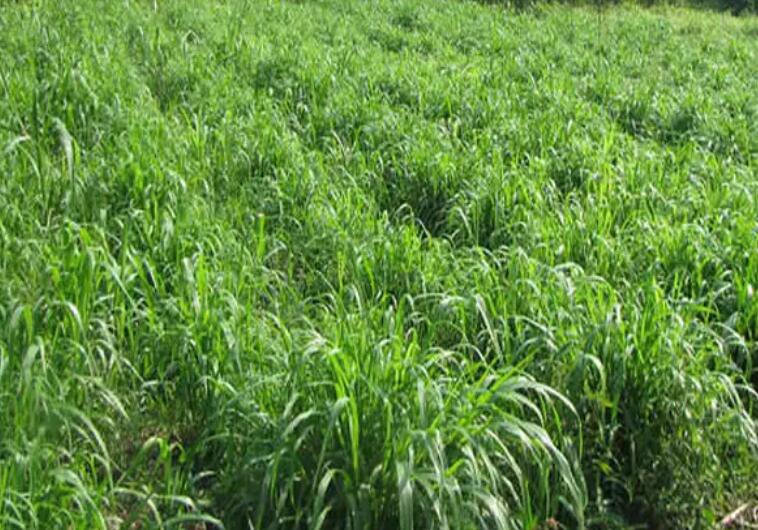 1650514027522383.jpg 3.jpg