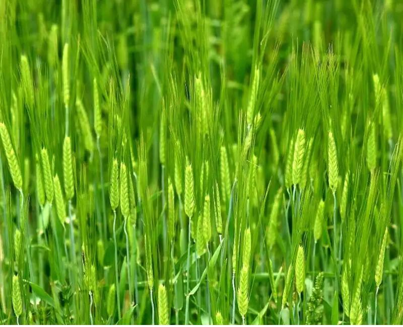 1650863397851270.jpg 1650863397851270.jpg