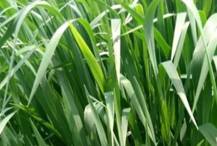 1652875613148024.jpg 1652875613148024.jpg