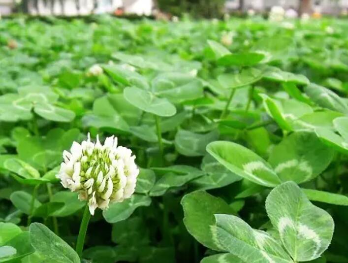 1653486054388933.jpg 1653486054388933.jpg