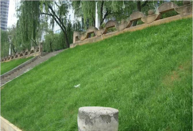 1653547745274445.jpg 1653547745274445.jpg