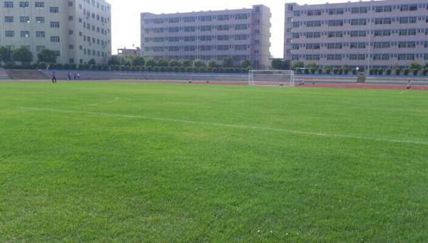 1653547991767005.jpg 1653547991767005.jpg