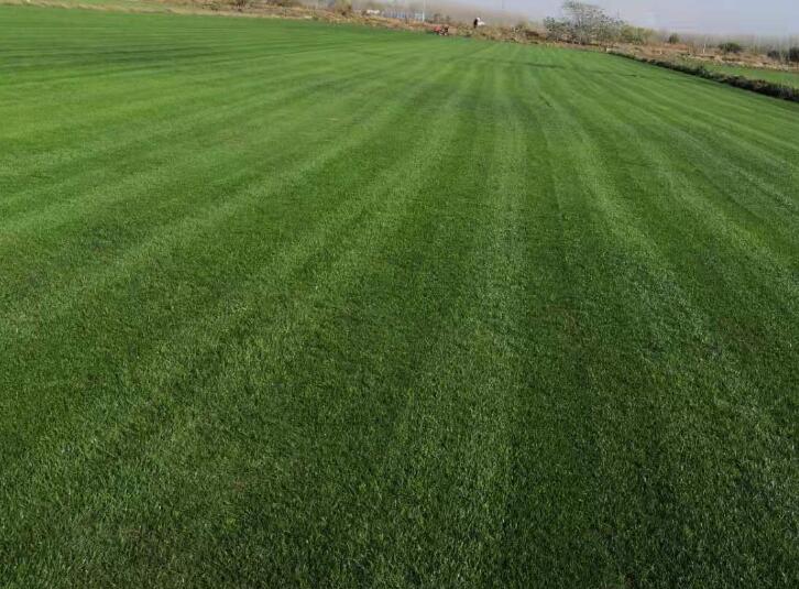 1657151998437393.jpg 1657151998437393.jpg