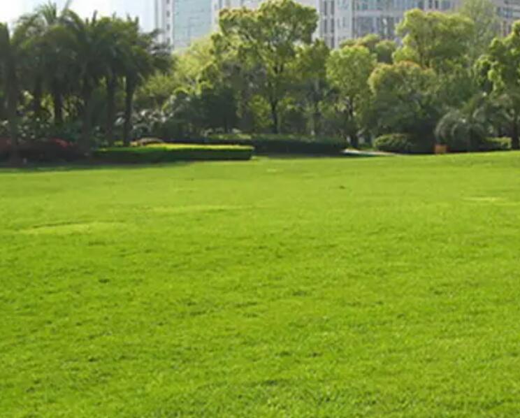 1657370678619351.jpg 2.jpg