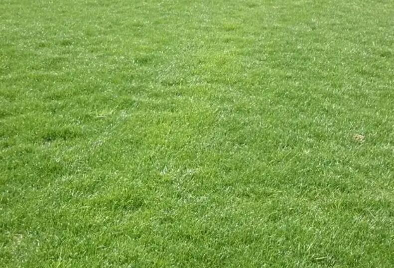 1657543019826199.jpg 3.jpg