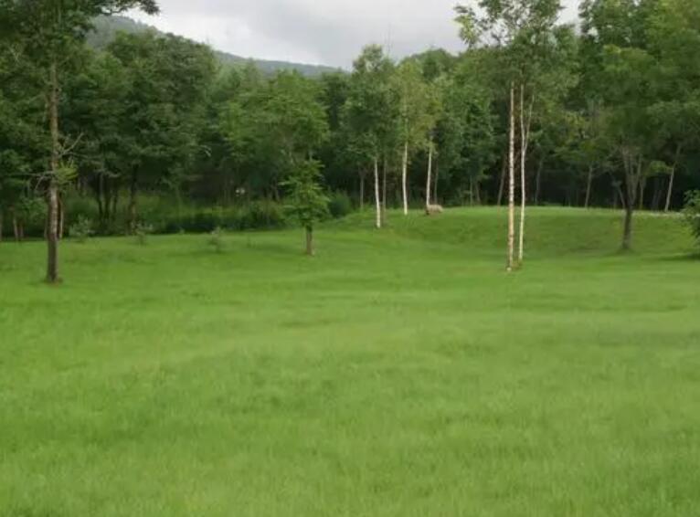 1657627865667617.jpg 1.jpg