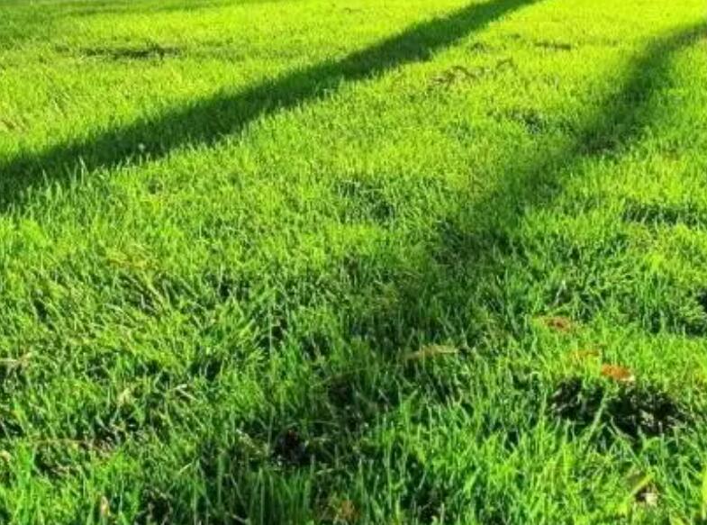 1657627882445423.jpg 3.jpg