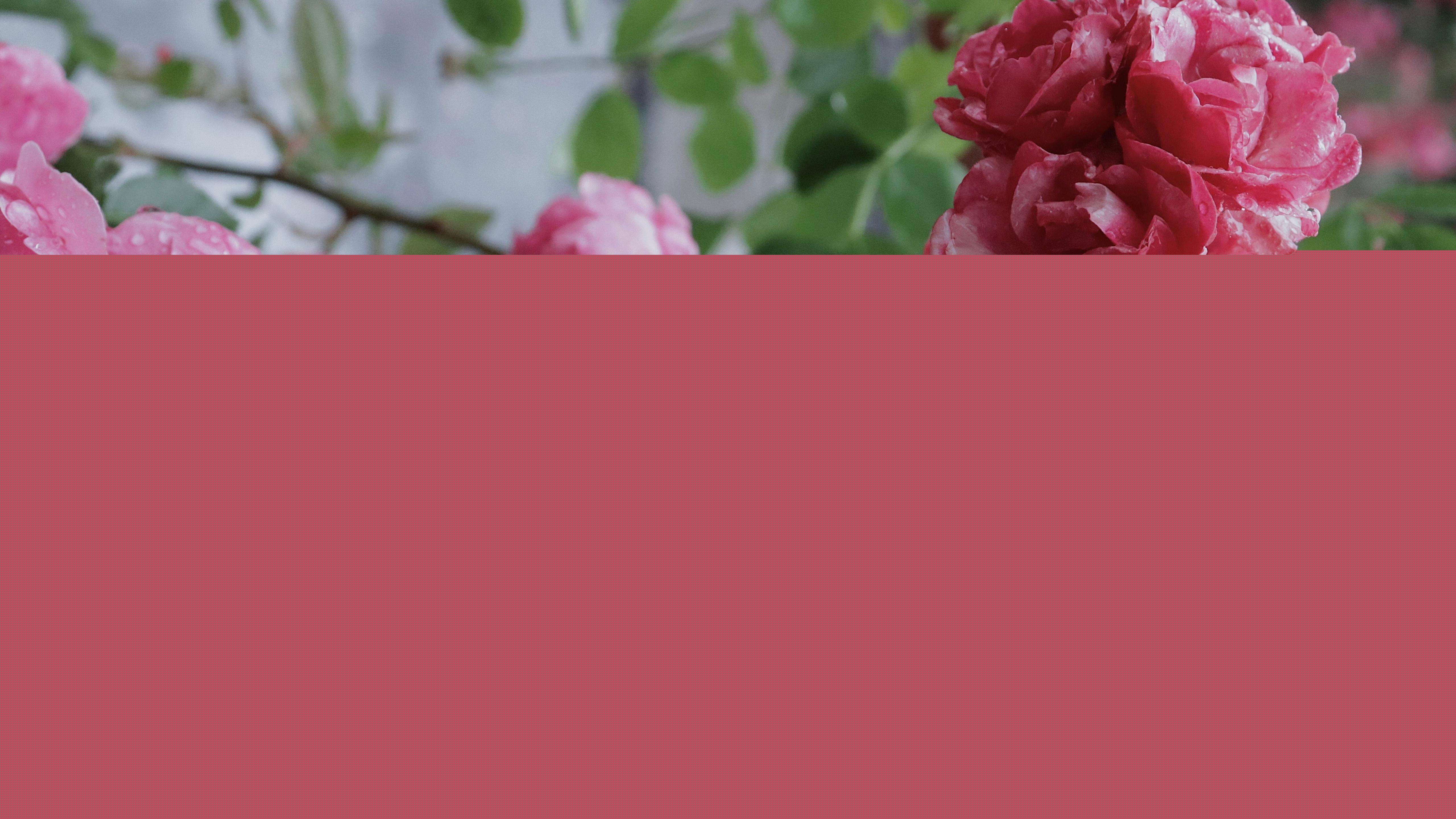 1658407987985205.jpeg 1658407987985205.jpeg