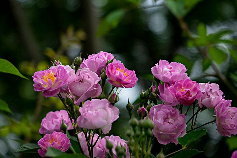 1658408029674726.jpeg 1658408029674726.jpeg