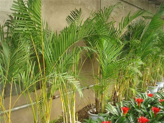 1658794532576100.jpeg 1658794532576100.jpeg