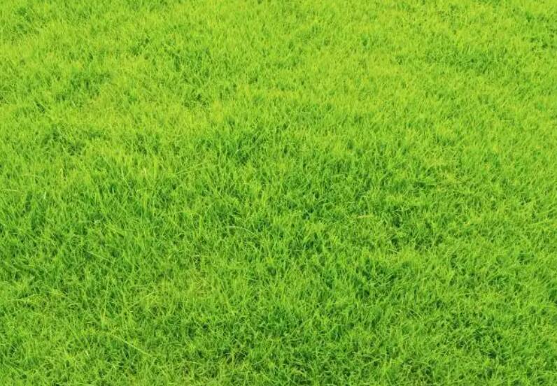 1658842040704241.jpg 2.jpg