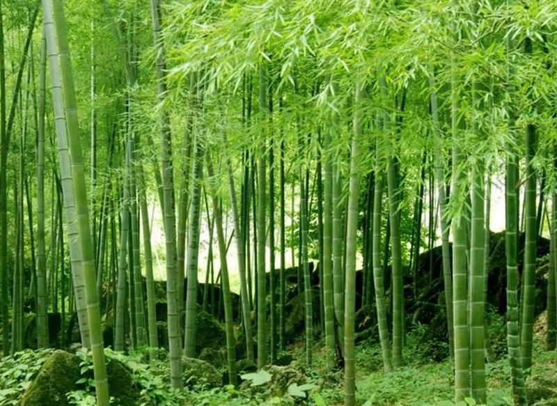 1659093718334965.jpeg 1659093718334965.jpeg