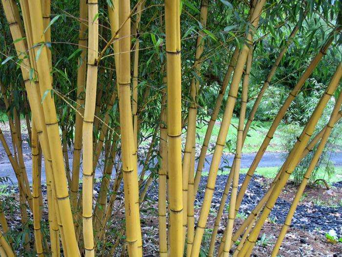 1659531599937172.jpeg 1659531599937172.jpeg