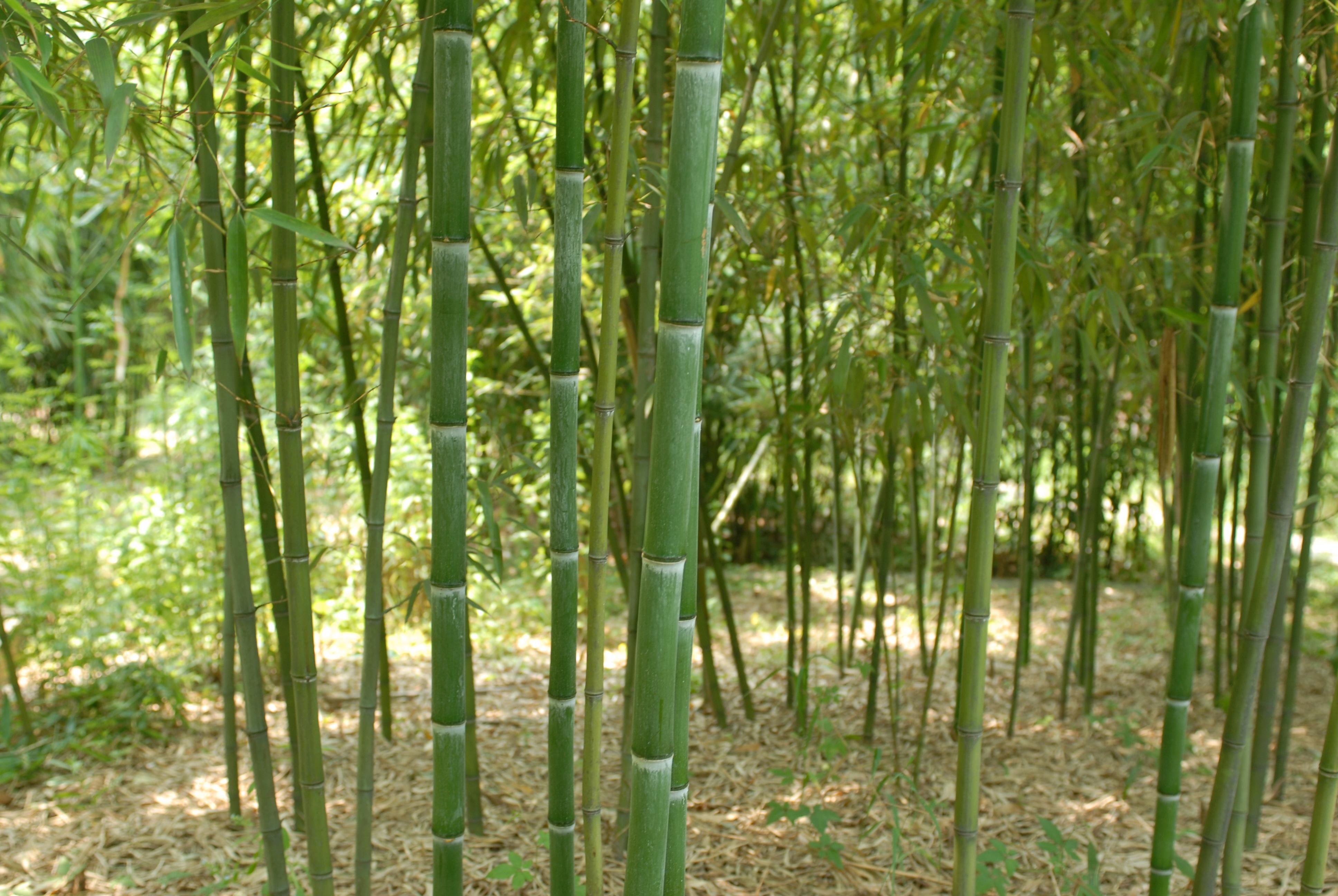 1659531646997197.jpeg 1659531646997197.jpeg