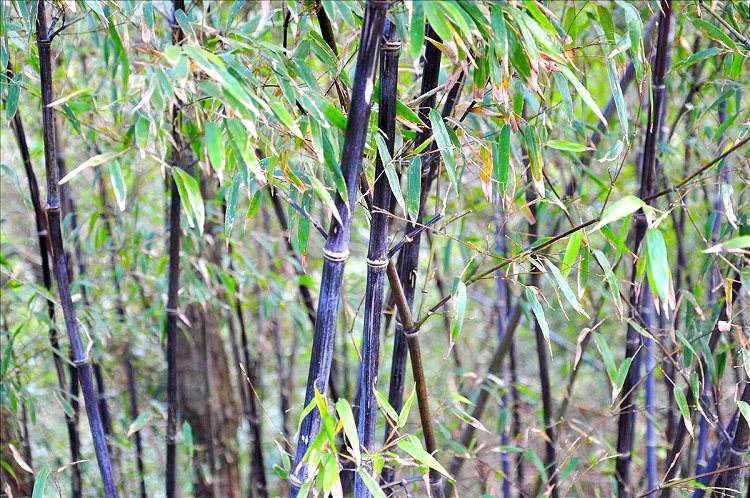 1659531720483446.jpeg 1659531720483446.jpeg