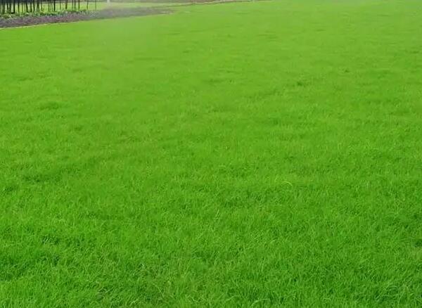 1659797042150080.jpg 1659797042150080.jpg