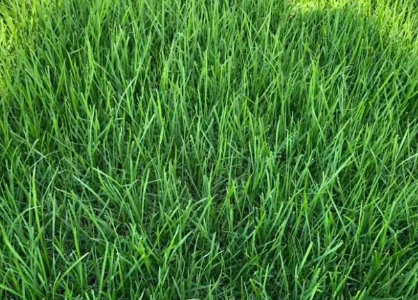 1659797042434235.jpg 1659797042434235.jpg