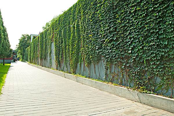 1660046403657428.jpeg 88ab6cbced706d2d17f27e6b4450c5cf.jpeg