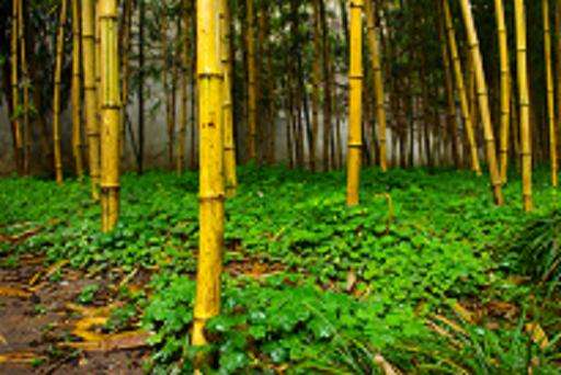 1660218602482150.jpeg 1660218602482150.jpeg