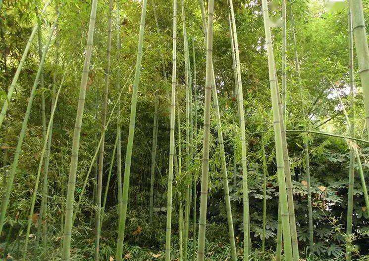 1660390185828535.jpeg 1660390185828535.jpeg