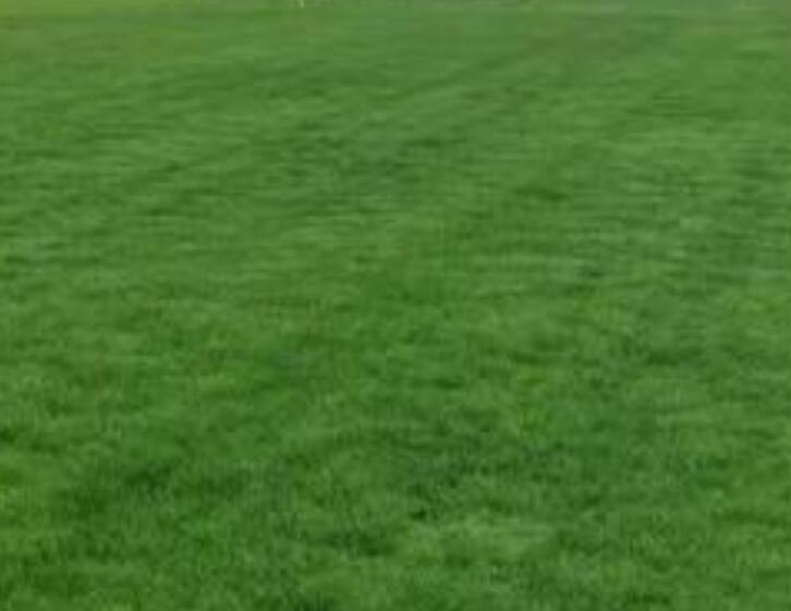 1660458087245205.jpg 1.jpg