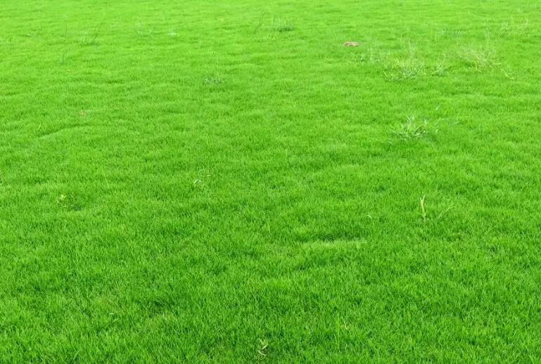 1660832594466693.jpg 1.jpg