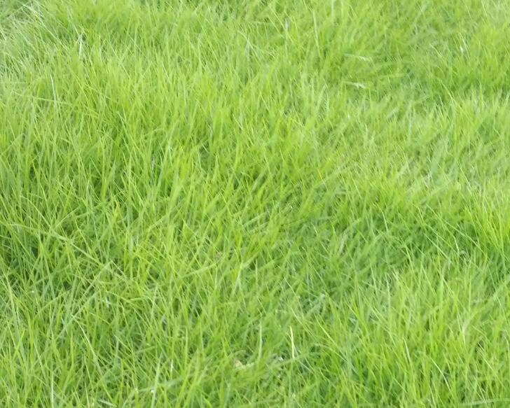 1660832609592906.jpg 2.jpg