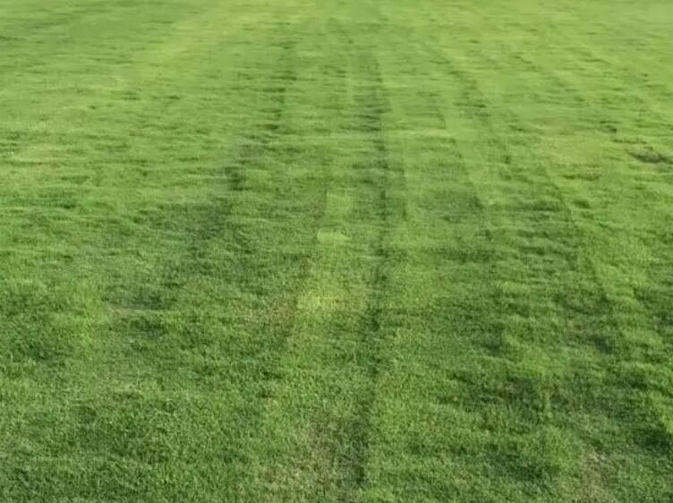 1660921074523877.jpg 2.jpg