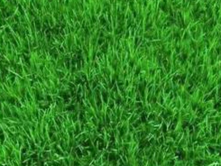 1661177225183041.jpg 3.jpg