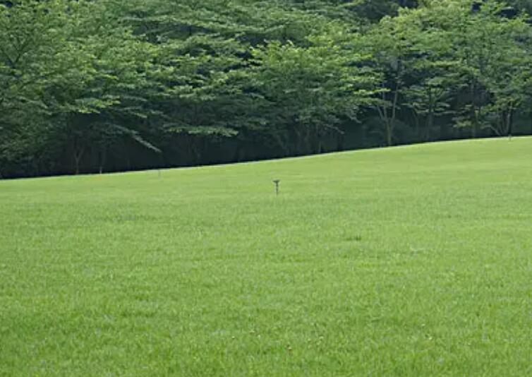 1661347869311686.jpg 1.jpg