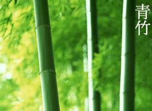 青竹 青竹